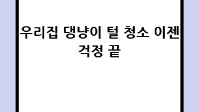 안성2동 아양동 셀프 청소 꿀팁🍯✨: 쉽고 효율적인 집 청소 완벽 가이드!