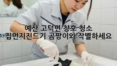 예산 고덕면 창호 청소: 집먼지진드기, 곰팡이와 작별하세요!